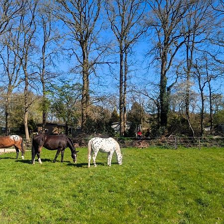 Hotel Chique Chalet Met Zicht Over De Weilanden Op De Veluwe Epe Exteriör bild
