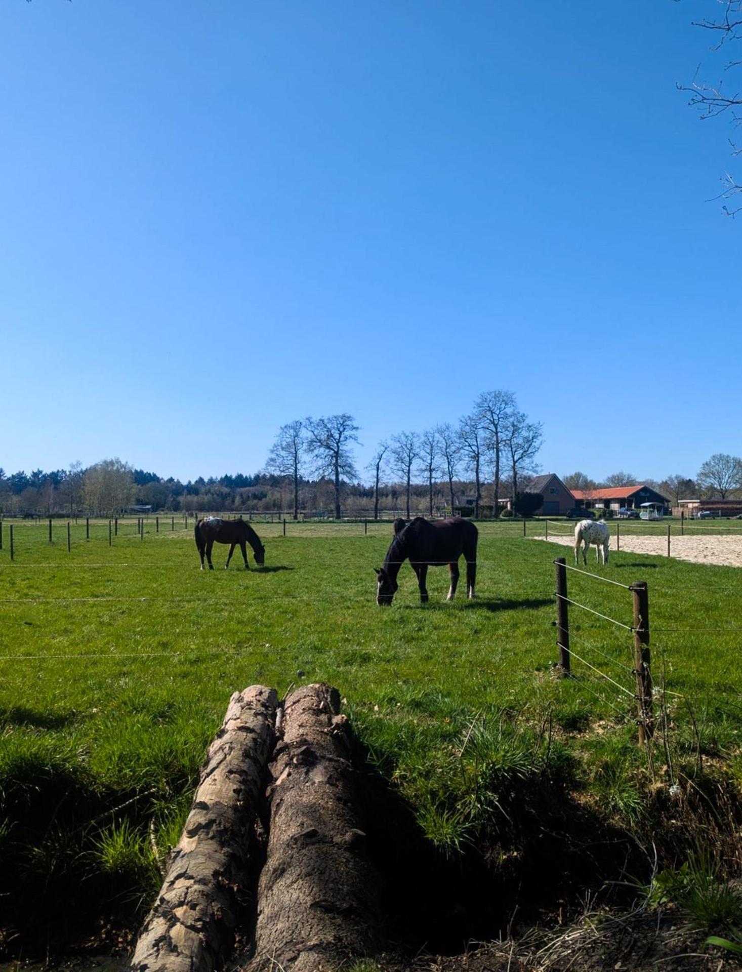 Hotel Chique Chalet Met Zicht Over De Weilanden Op De Veluwe Epe Exteriör bild