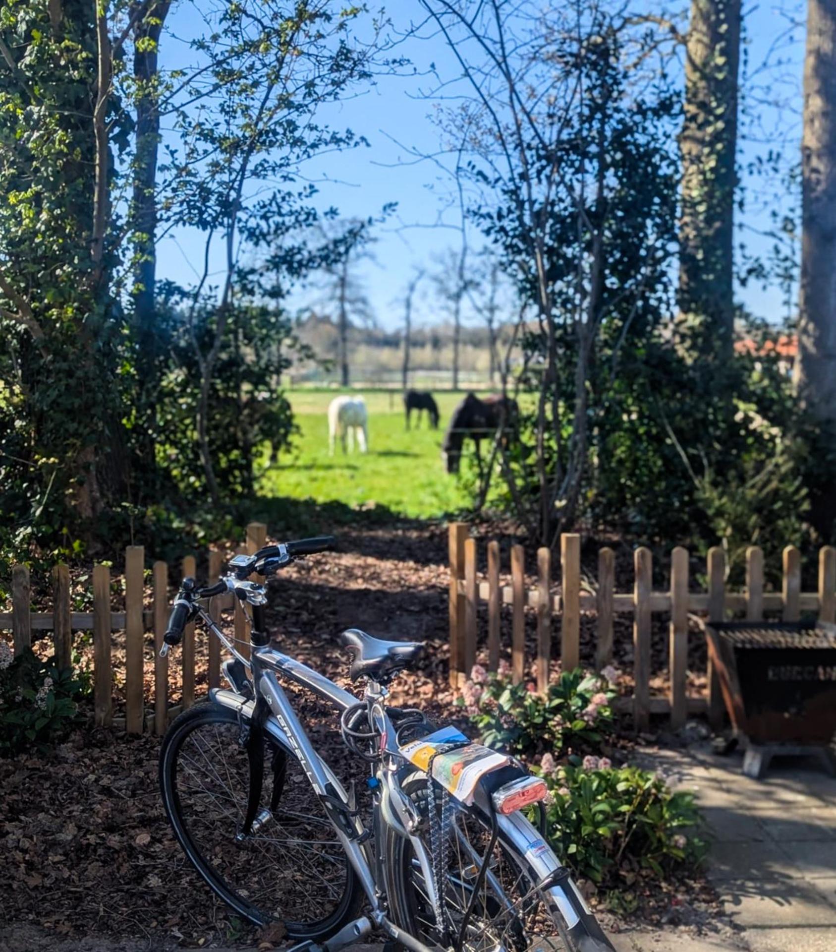 Hotel Chique Chalet Met Zicht Over De Weilanden Op De Veluwe Epe Exteriör bild